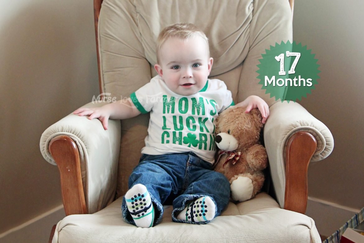 17 Months Old Baby Activities