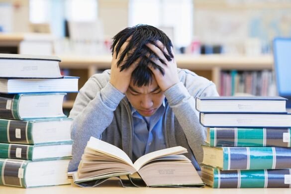 How Is Education A Social Determinant Of Mental Health 